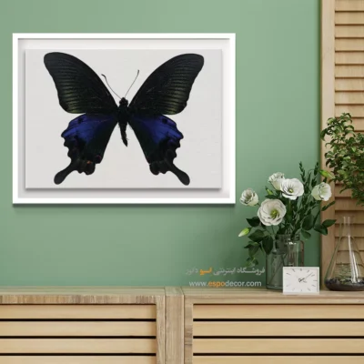 تابلو پروانه - اسپو دکور