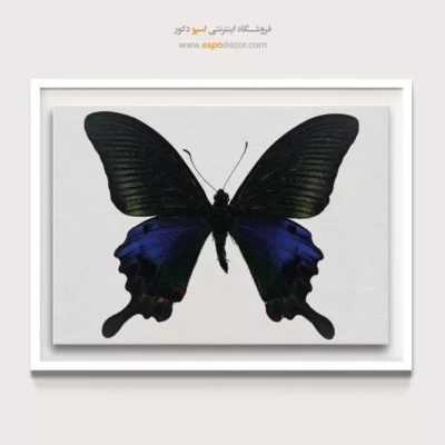 تابلو پروانه - اسپو دکور