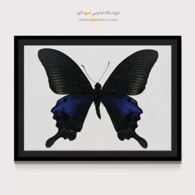 تابلو پروانه - اسپو دکور