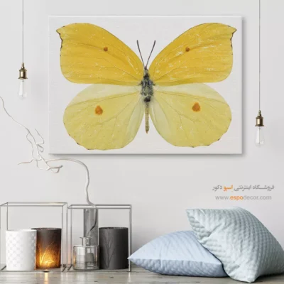 تابلو پروانه - اسپو دکور