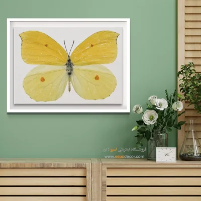 تابلو پروانه - اسپو دکور