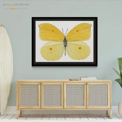 تابلو پروانه - اسپو دکور