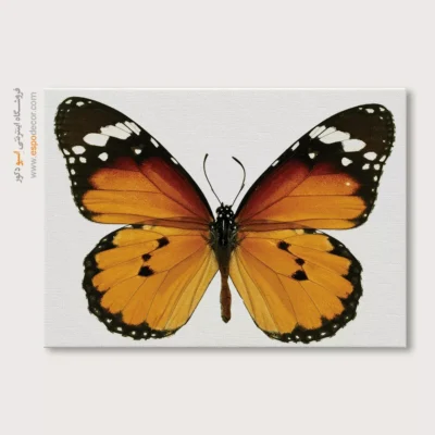 تابلو پروانه - اسپو دکور
