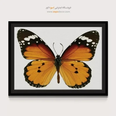 تابلو پروانه - اسپو دکور
