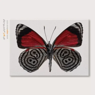 تابلو پروانه - اسپو دکور