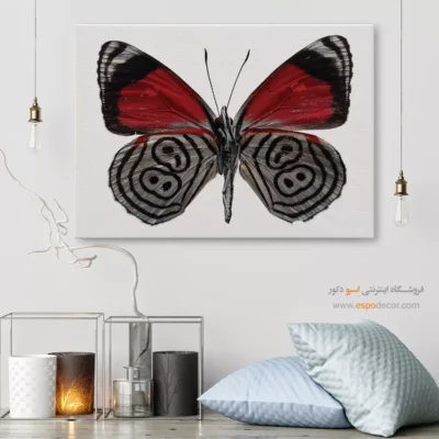 تابلو پروانه - اسپو دکور