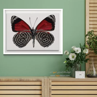 تابلو پروانه - اسپو دکور