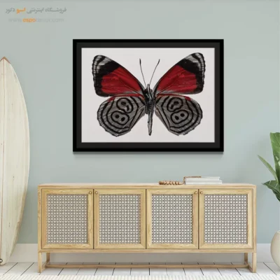 تابلو پروانه - اسپو دکور