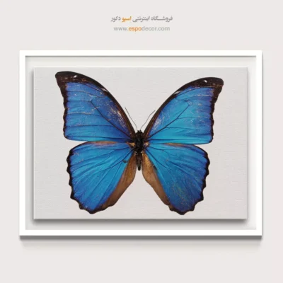 تابلو پروانه - اسپو دکور