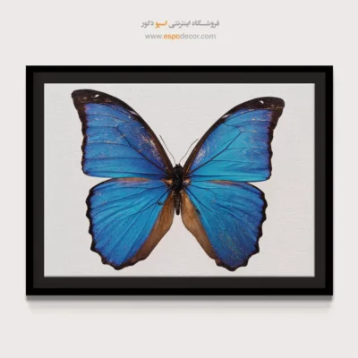 تابلو پروانه - اسپو دکور
