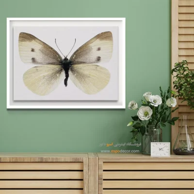 تابلو پروانه - اسپو دکور