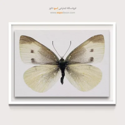 تابلو پروانه - اسپو دکور