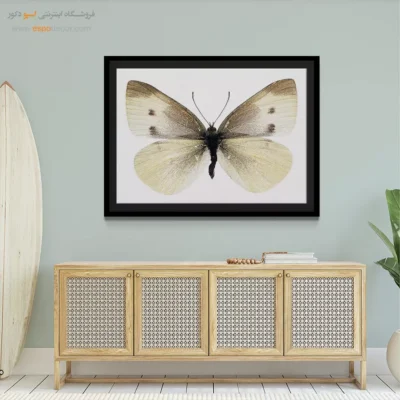 تابلو پروانه - اسپو دکور