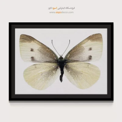 تابلو پروانه - اسپو دکور