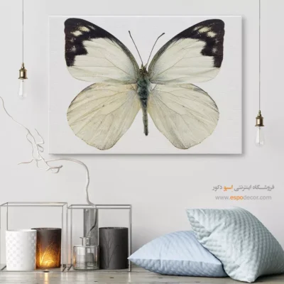 تابلو پروانه - اسپو دکور