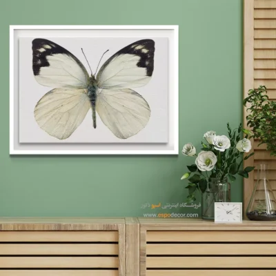 تابلو پروانه - اسپو دکور