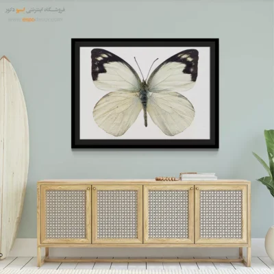 تابلو پروانه - اسپو دکور