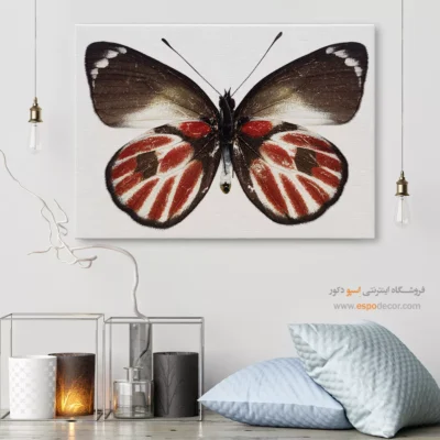 تابلو پروانه - اسپو دکور