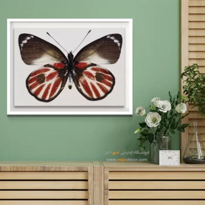 تابلو پروانه - اسپو دکور