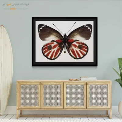 تابلو پروانه - اسپو دکور