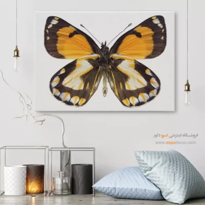 تابلو پروانه - اسپو دکور