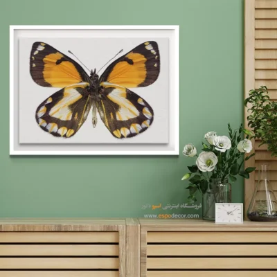 تابلو پروانه - اسپو دکور