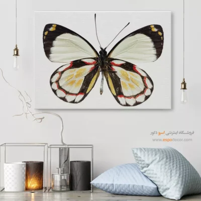 تابلو پروانه - اسپو دکور