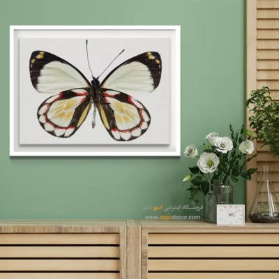 تابلو پروانه - اسپو دکور