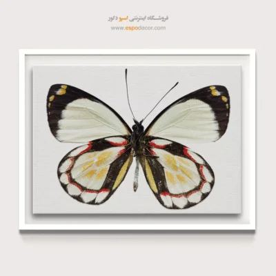 تابلو پروانه - اسپو دکور