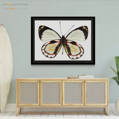 تابلو پروانه - اسپو دکور