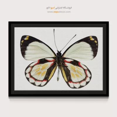 تابلو پروانه - اسپو دکور