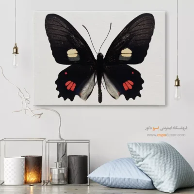 تابلو پروانه - اسپو دکور