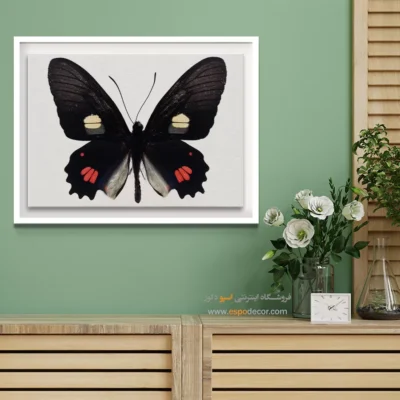 تابلو پروانه - اسپو دکور