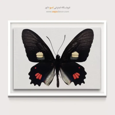 تابلو پروانه - اسپو دکور