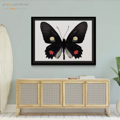 تابلو پروانه - اسپو دکور