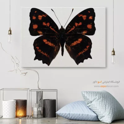 تابلو پروانه - اسپو دکور