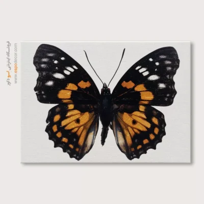 تابلو پروانه - اسپو دکور