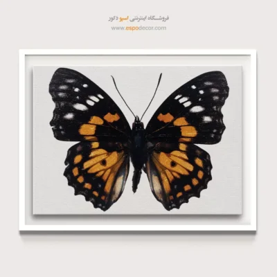 تابلو پروانه - اسپو دکور