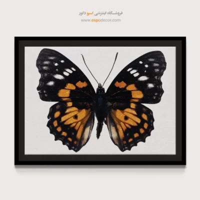 تابلو پروانه - اسپو دکور