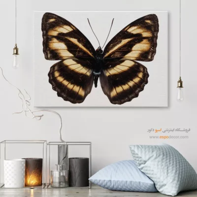 تابلو پروانه - اسپو دکور