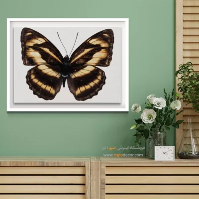 تابلو پروانه - اسپو دکور