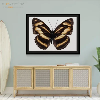 تابلو پروانه - اسپو دکور