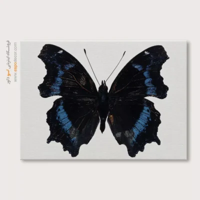تابلو پروانه - اسپو دکور