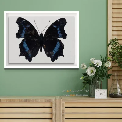 تابلو پروانه - اسپو دکور
