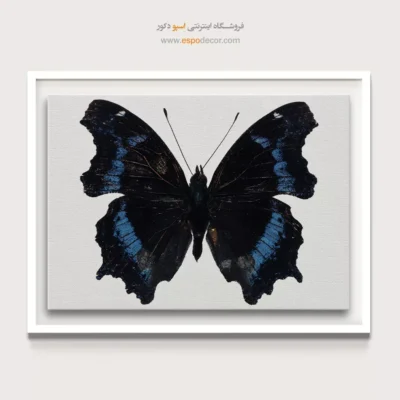تابلو پروانه - اسپو دکور