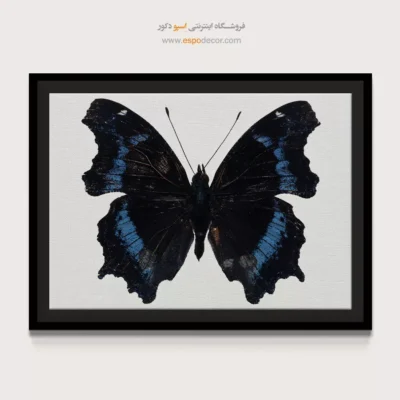 تابلو پروانه - اسپو دکور