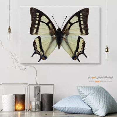 تابلو پروانه - اسپو دکور