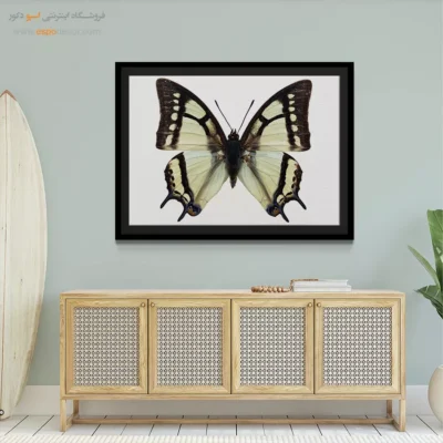 تابلو پروانه - اسپو دکور
