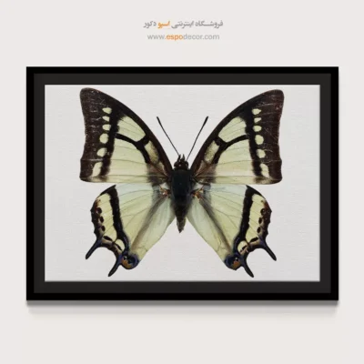 تابلو پروانه - اسپو دکور