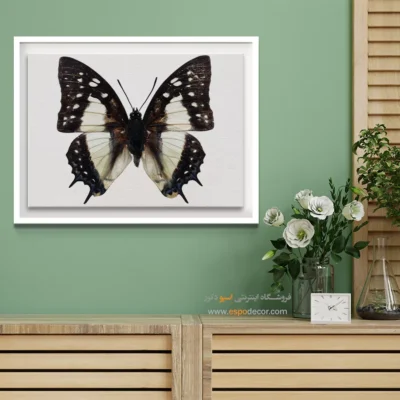تابلو پروانه - اسپو دکور